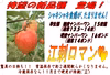 《家庭用》岩手江刺が産んだ待望の新品種✨江刺ロマン