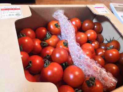 みんなの投稿の画像