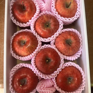 [2026年予約受付中] 長野県産　王道の美味しさサンフジ3kg（9~12個）