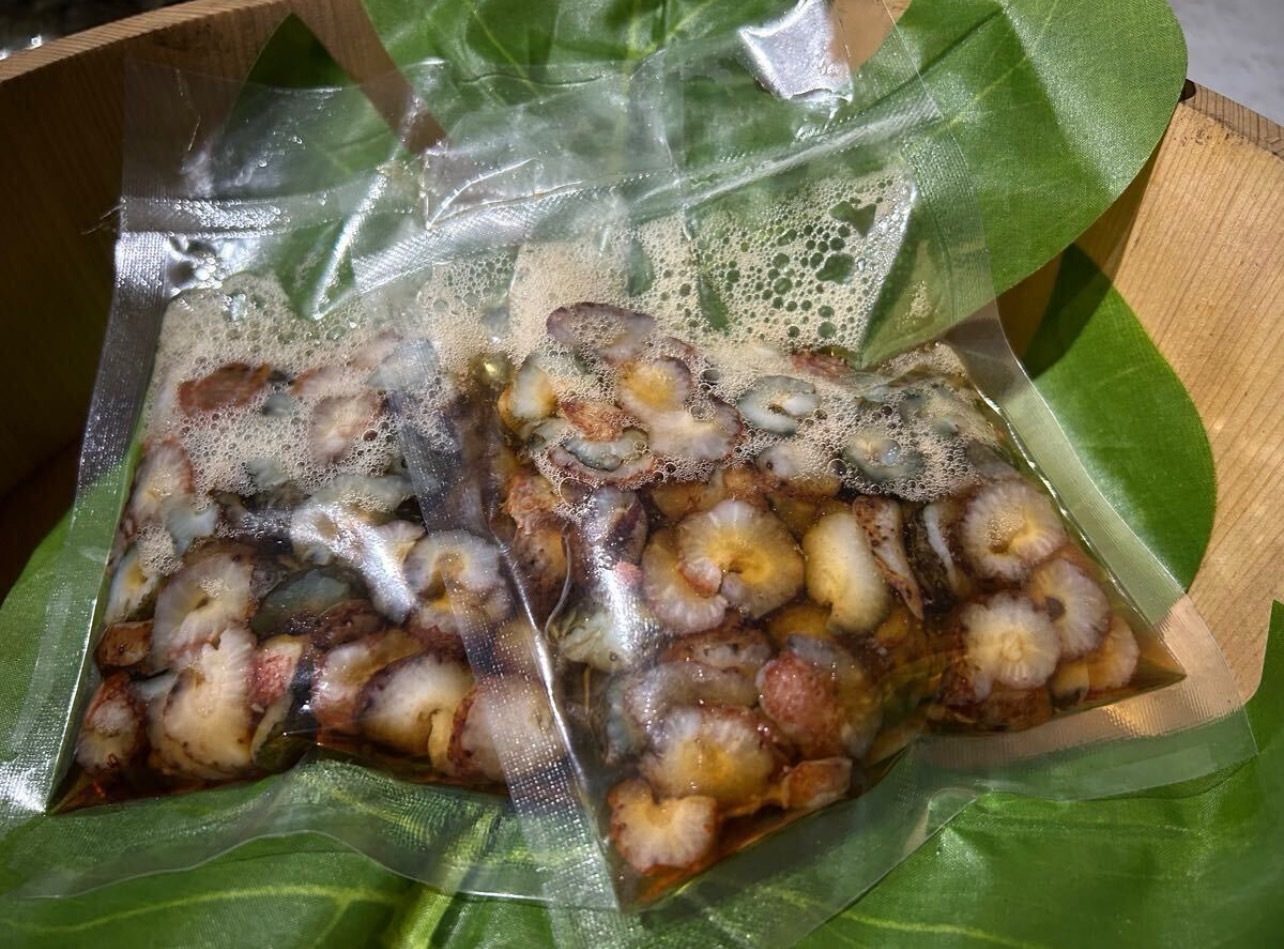 ナマコ2キロ 江田島産】赤ナマコ2kg：広島県産のその他水産物｜食べチョク