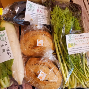 JAS有機☆特栽野菜とカンパーニュのお試し60sセットを諏訪湖の畔から