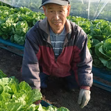 山内里美