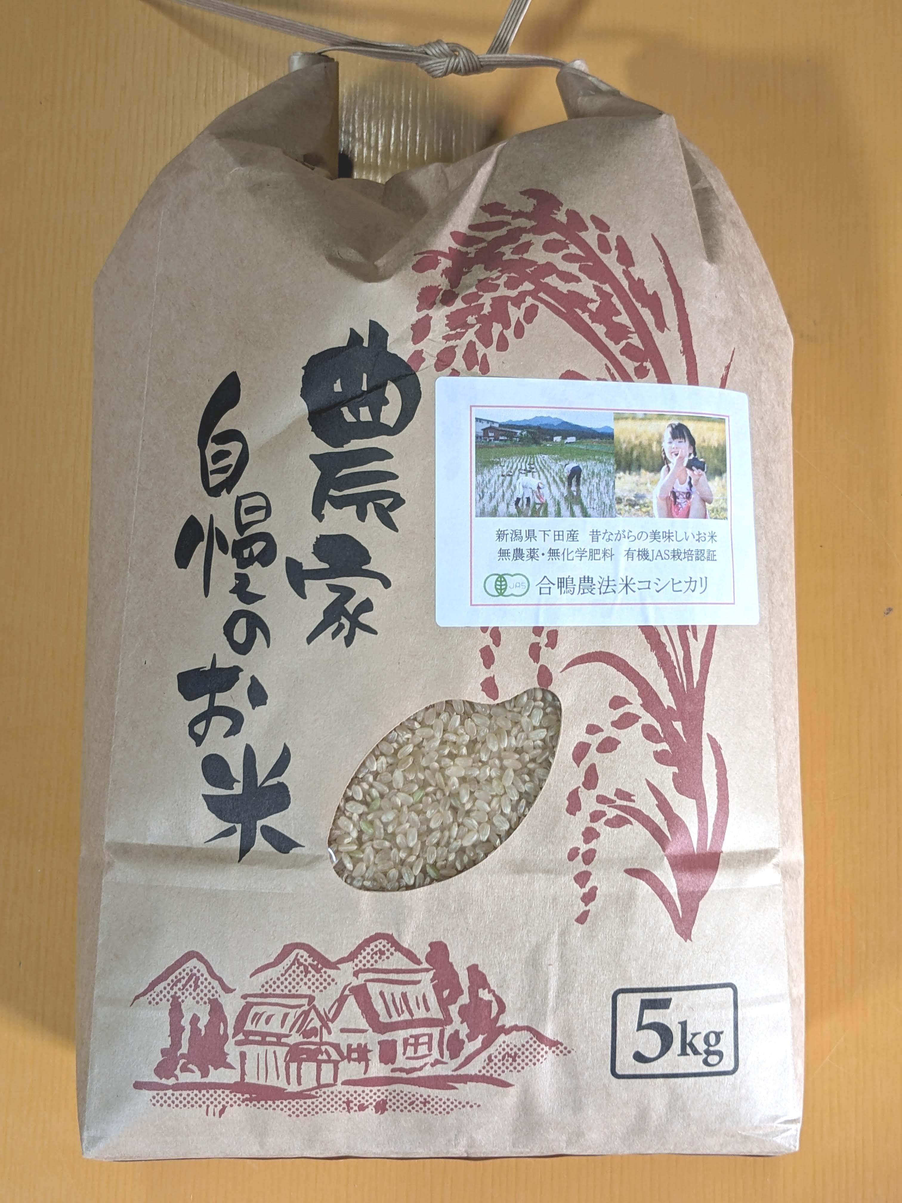 R2年10月産　玄米　コシヒカリ15キロ