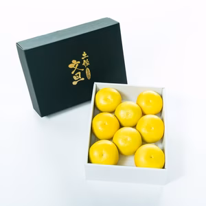 【新発売】厳選 園主こだわり土佐文旦5kg大玉【贈答用化粧箱】
