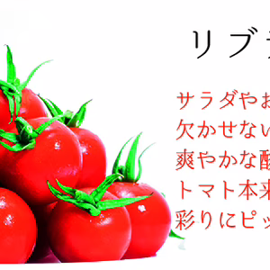 サラダやお弁当にピッタリ♪【リブラ】爽やかな酸味とトマト本来の味わい!