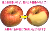 サンふじ りんご   加工用  ジュースやジャムなどに最適！