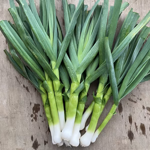 【期間限定‼︎】野菜ソムリエサミット金賞受賞　葉にんにく