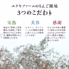 青森県産「大人気」蜜入りプレミアム葉とらずさんふじ自然味３kg糖度13%以上
