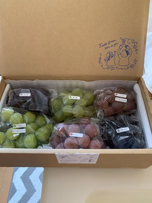 みんなの投稿の画像