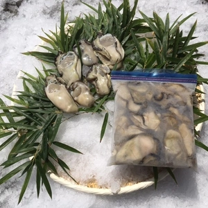 宮崎産天然岩牡蠣むき身冷凍（加熱用）・冷凍ヒオウギ貝（加熱用）セット※数量限定