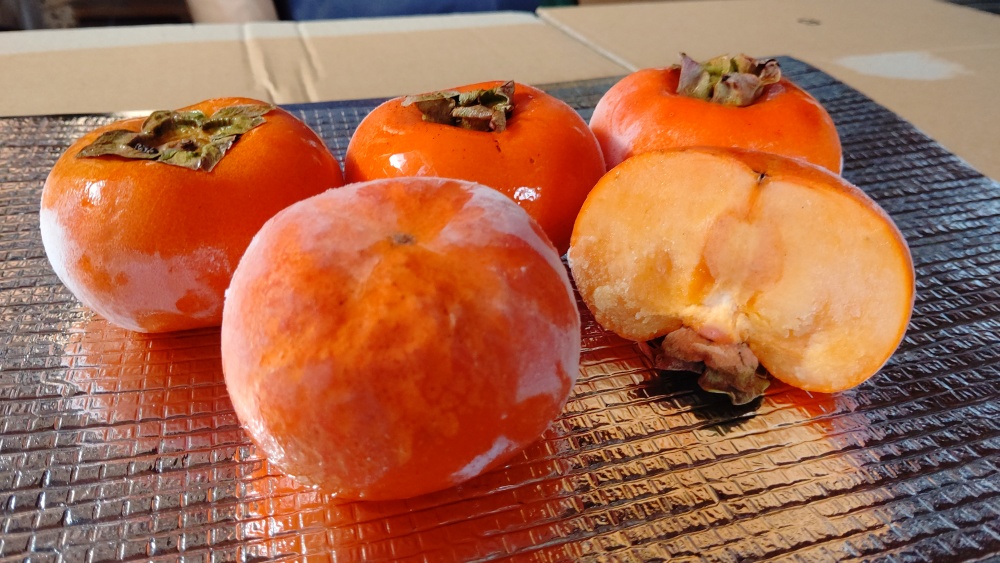 [冷凍]完熟 庄内柿 約1.5kg(約8個)