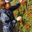 金山桐子