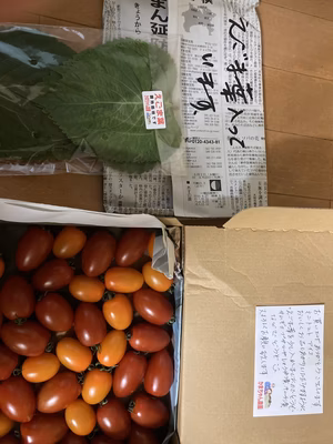 みんなの投稿の画像