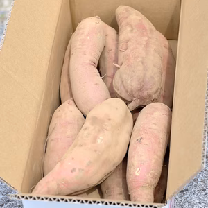 値下げ！　長期熟成！べにはるか３kg【訳あり･土付き･サイズ混載】