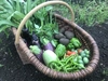 季節の野菜箱