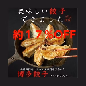 １２月限定 お得セット パリパリッ！冷凍 博多あかもく入り餃子　