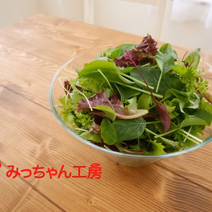 【いっぺん食べてみなっせ！】ベビーリーフ