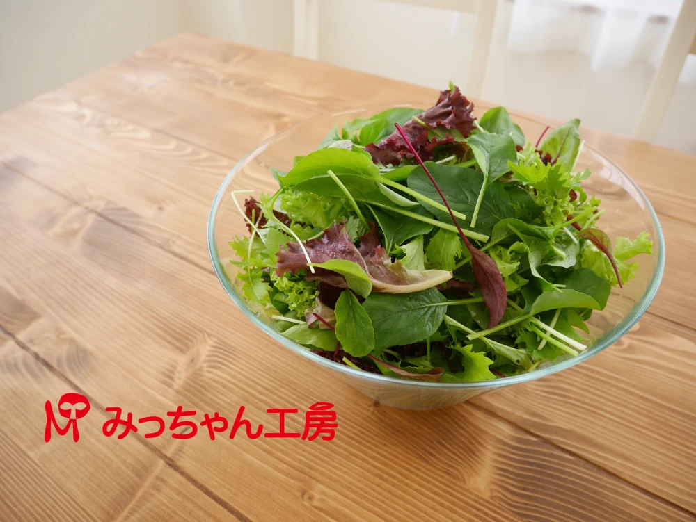 【いっぺん食べてみなっせ！】ベビーリーフ