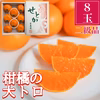 【二級品／ハーフ化粧箱】『柑橘の大トロ』ハウスせとか小玉8玉入（約1kg）