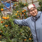 畑 正美 | ふぁ～む傳