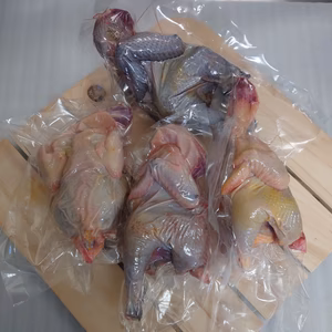 ちいさい丸鶏だしセット（500g×4）