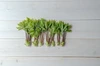 【4月の発送。山菜の女王】 採れたて天然コシアブラ 約150g ＋オマケ1種