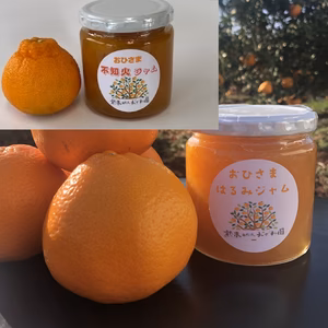 【全国一律送料】（沖縄を除く）【はるみ・不知火ジャム】セット