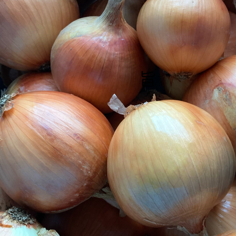 淡路島玉ねぎ》5Kg １回食べてみて〜♪トロ甘ですよ♪｜野菜の商品詳細