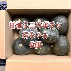 【鹿児島産】甘塩ミニカボチャ（坊ちゃん）8個^_^