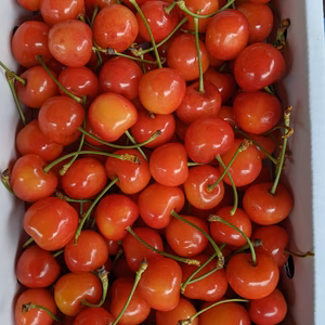 さくらんぼ紅秀峰Mサイズバラ詰め