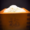 福島県産コシヒカリ 〝白米 10kg" 初出品