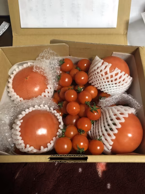 みんなの投稿の画像