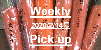 色々食べ比べ！比べてみると味の違いが分かる。