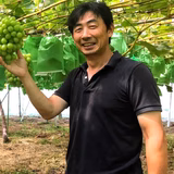 沢辺雄一 | さわべ農園（さわべの葡萄）
