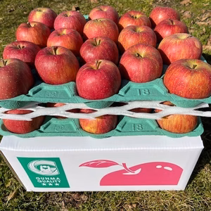 りんごの王様「サンふじ」１０ｋｇ（３６玉）