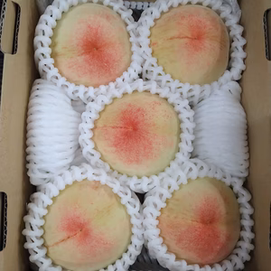 白桃　早生家庭用小箱　品種はおまかせ