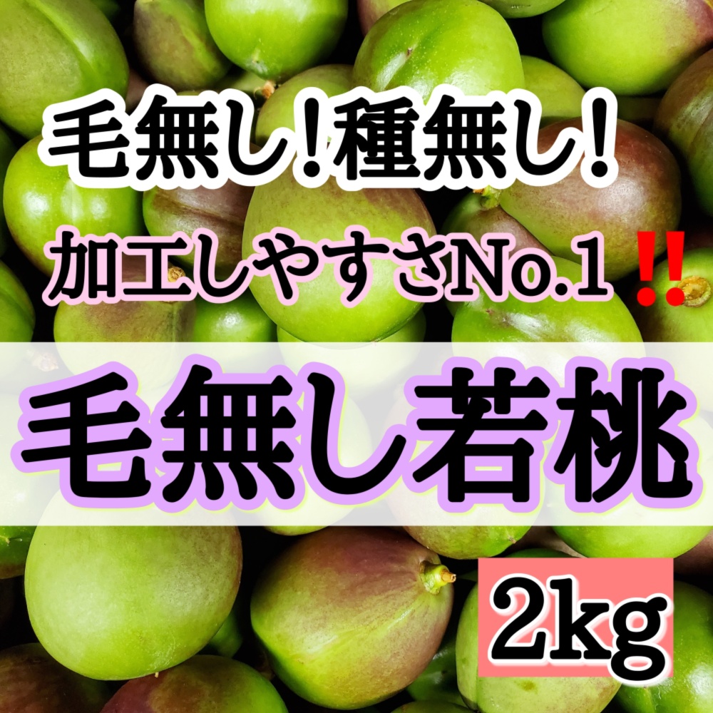 日本人気超絶の 本日限り限定出品 25日収穫発送 桃 若桃 摘果桃 早摘