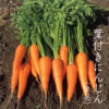 【農薬・化学肥料不使用】葉付きにんじん