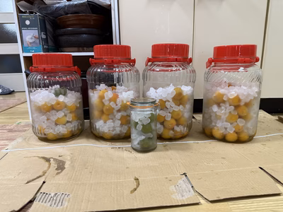 みんなの投稿の画像