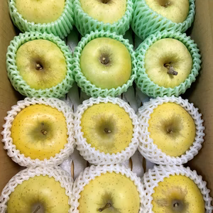 ぐんま名月 シナノゴールド 詰合せ 約2kg〜 信州りんご