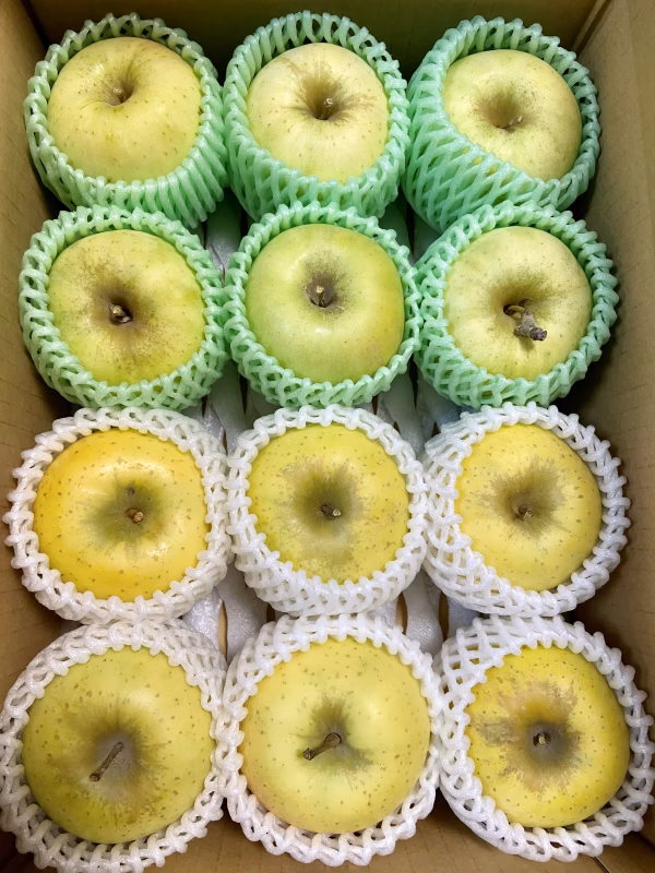 ぐんま名月 シナノゴールド 詰合せ 約2kg〜 信州りんご