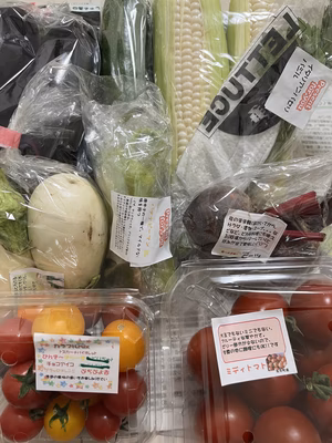 みんなの投稿の画像