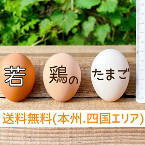 鮮度抜群プリップリ！若鶏のたまご3種MIXセット90個（180個）入り‼