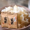 【送料無料】令和7年産 山形県産はえぬき玄米10kg(5kg×2袋)石抜き処理済