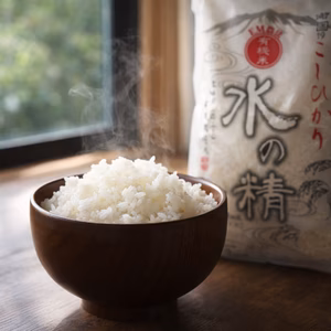 令和7年産 JAS認証米 有機米 コシヒカリ 石川県産『水の精』 無洗米対応