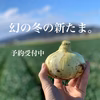 淡路島の恵み⭕子どもたちがパクパク食べちゃう⭕たまねぎ定期便【2ヶ月毎】