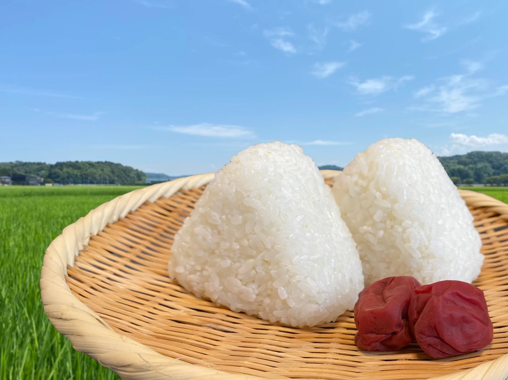 白米　農家が食べているお米！　食べ比べセット　20㎏