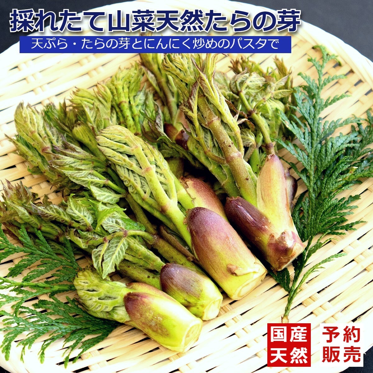 岡山産 とれたてパクチー 300g - 野菜