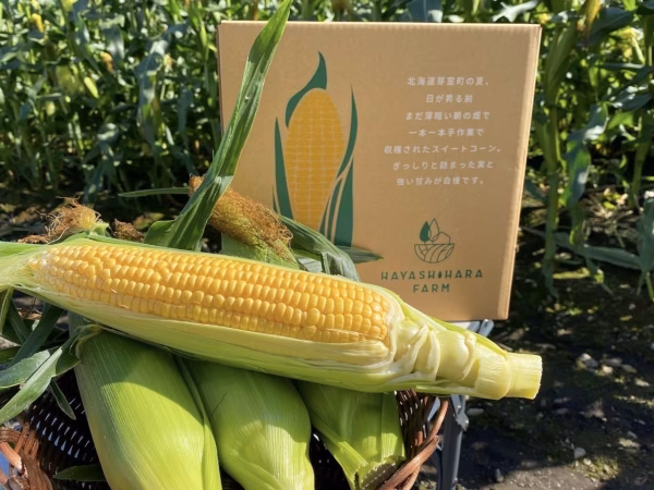 【予約限定】十勝芽室 極甘ジューシー 未体験の甘さをあなたへ 2023年8月中旬