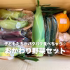 子どもたちがパクパクたべちゃう♪旬のお野菜セット